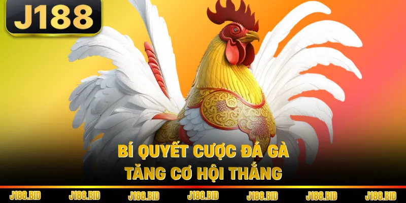 Bí quyết cược đá gà tăng cơ hội thắng
