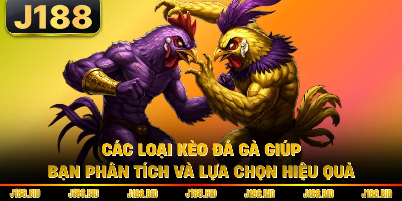 Các loại kèo đá gà giúp bạn phân tích và lựa chọn hiệu quả