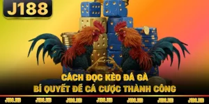 Cách Đọc Kèo Đá Gà - Bí Quyết Để Cá Cược Thành Công