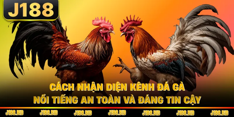 Cách nhận diện kênh đá gà nổi tiếng an toàn và đáng tin cậy 