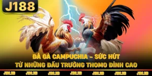Đá Gà Campuchia - Sức Hút Từ Những Đấu Trường Thomo Đỉnh Cao