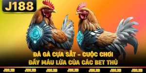 Đá Gà Cựa Sắt - Cuộc Chơi Đầy Máu Lửa Của Các Bet Thủ