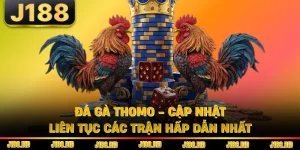 Đá Gà Thomo - Cập Nhật Liên Tục Các Trận Hấp Dẫn Nhất