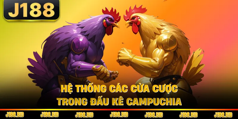 Hệ thống các cửa cược trong đấu kê Campuchia