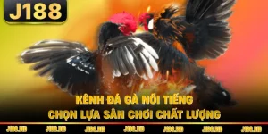 Kênh Đá Gà Nổi Tiếng - Chọn Lựa Sân Chơi Chất Lượng