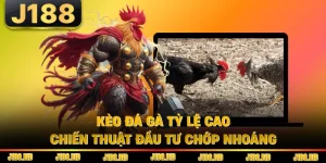 Kèo Đá Gà Tỷ Lệ Cao - Chiến Thuật Đầu Tư Chớp Nhoáng