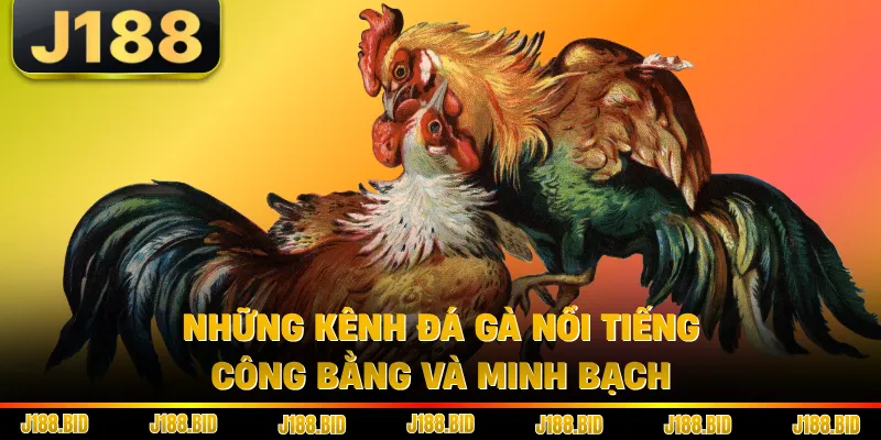 Những kênh đá gà nổi tiếng công bằng và minh bạch