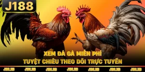 Xem Đá Gà Miễn Phí - Tuyệt Chiêu Theo Dõi Trực Tuyến