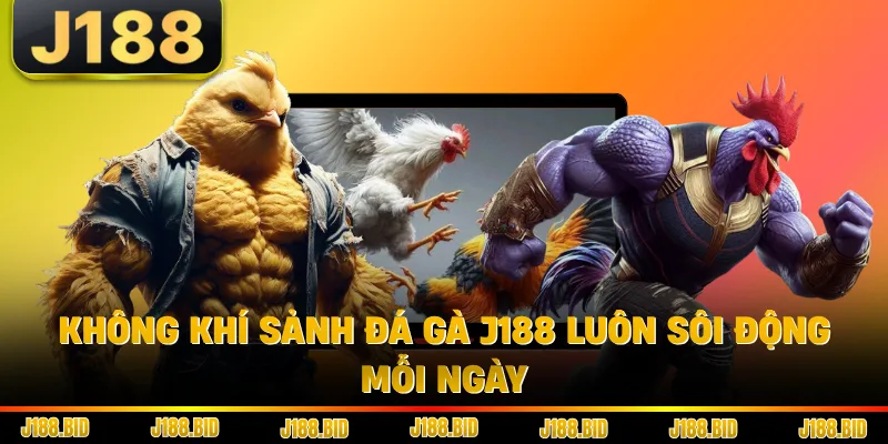 Không khí sảnh đá gà J188 luôn sôi động mỗi ngày