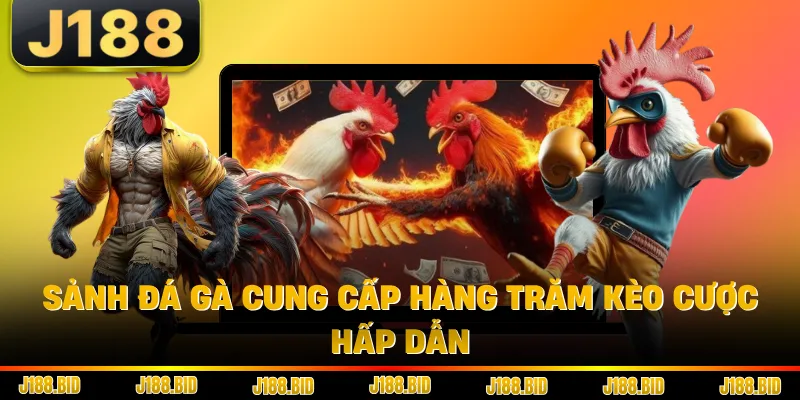 Sảnh đá gà cung cấp hàng trăm kèo cược hấp dẫn
